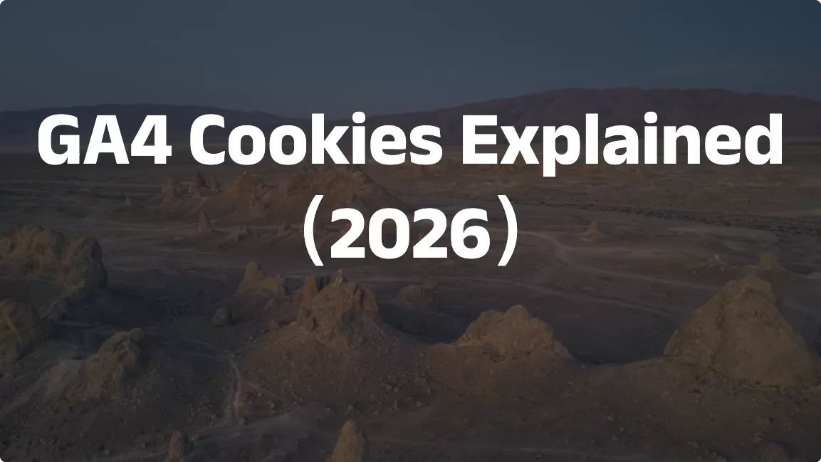 GA4 Cookies Values Explained（2026)